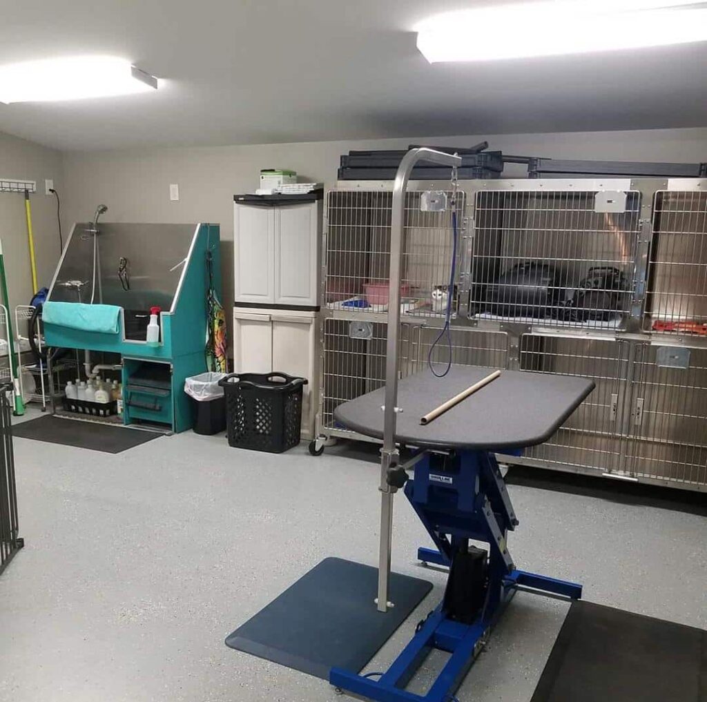 Pet Grooming PETSinc. Pet Adoption and Affordable Vet Clinic